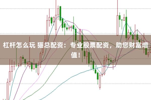 杠杆怎么玩 猫总配资：专业股票配资，助您财富增值！