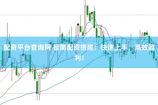 配资平台查询网 智简配资搭建：快速上手，高效盈利！