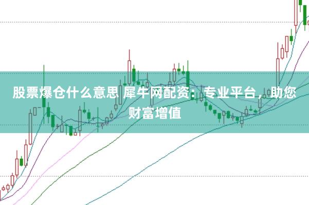 股票爆仓什么意思 犀牛网配资：专业平台，助您财富增值
